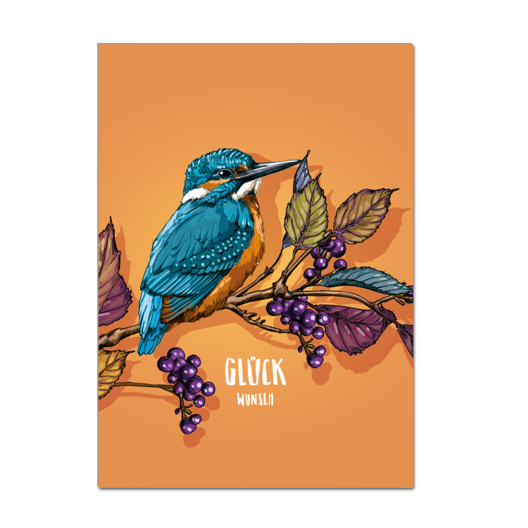 Postkarte INYO Glückwunsch von illi , Holzschliffpappe, Herbst, Eisvogel