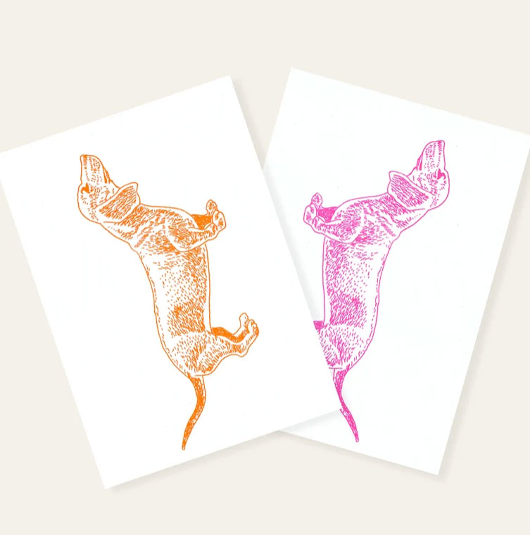Herr und Frau Rio Postkarte Dackel Fluo-Orange, Risographie Postkarte