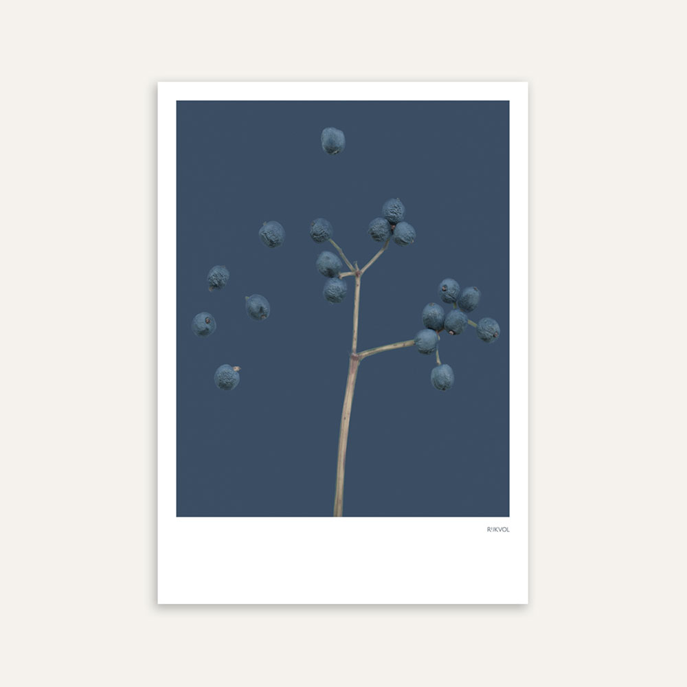 Aufstellkarte BlueBerry 01, Florale Grußkarte mit Umschlag von Studio Rijkvol   