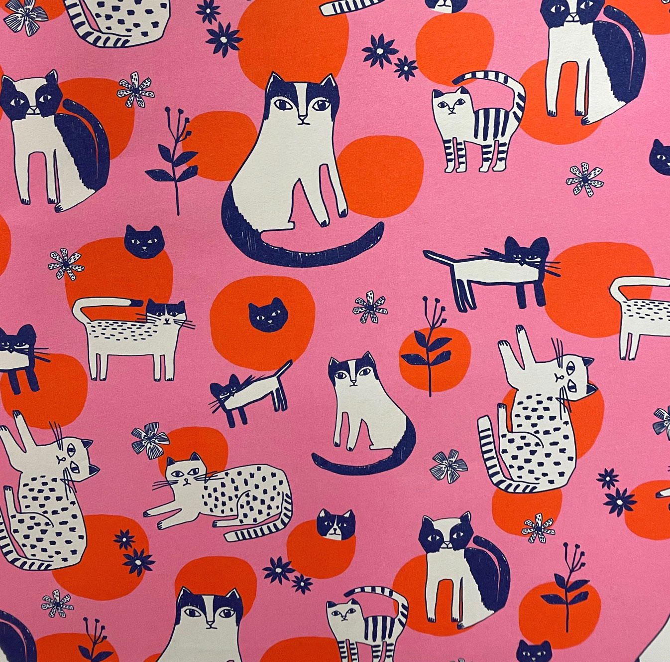 Geschenkpapier - Katzen von Oliver Bonas Katzen/ Cat Crew pink