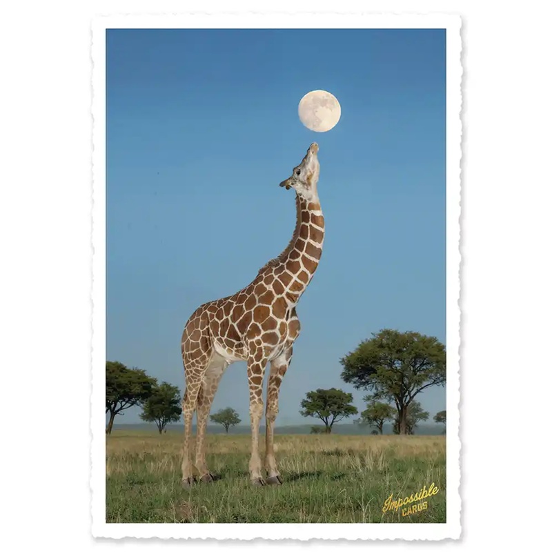 Impossible Card Postkarte *moon giraffe