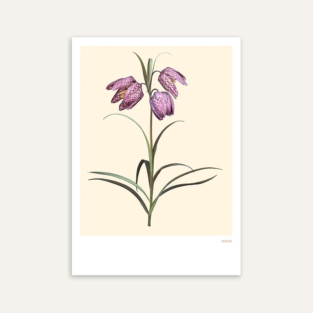 Aufstellkarte Fritillaria 01, Creme, Florale Grußkarte mit Umschlag von Studio Rijkvol 