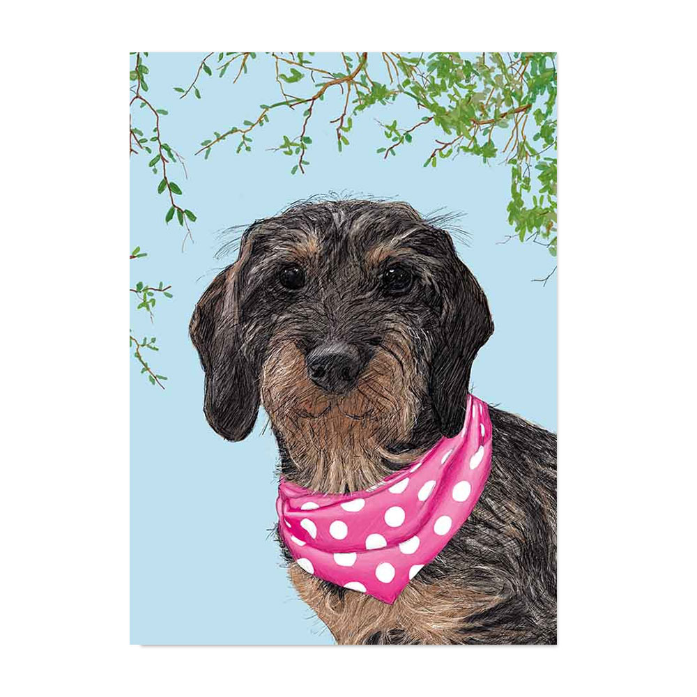 Postkarte Dackel mit Halstuch von m-illu  