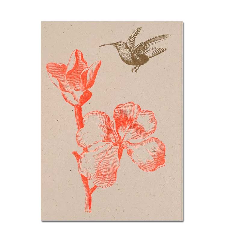 Feingeladen Postkarte TYPO »Blume mit Kolibri« , Neon Orange, RISO handgedruckt  