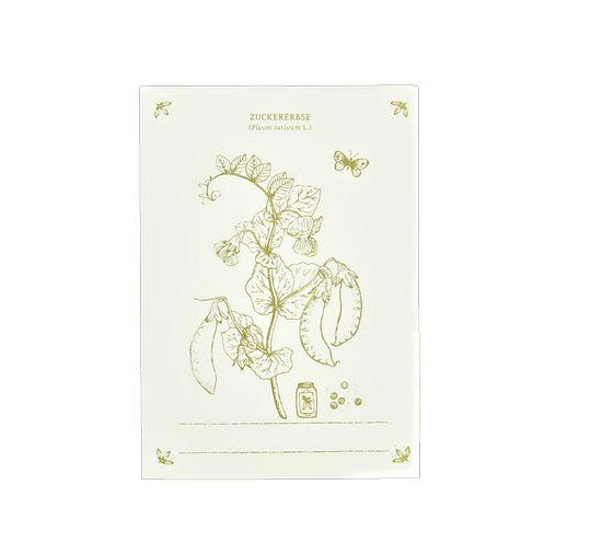 Dorothee Lehnen Briefkarte handgedruckt, Zuckererbse