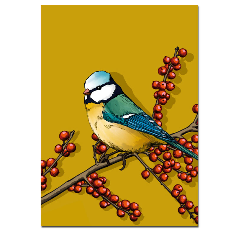 Postkarte Tilli , Vogel, Herbst, rote Beeren von illi