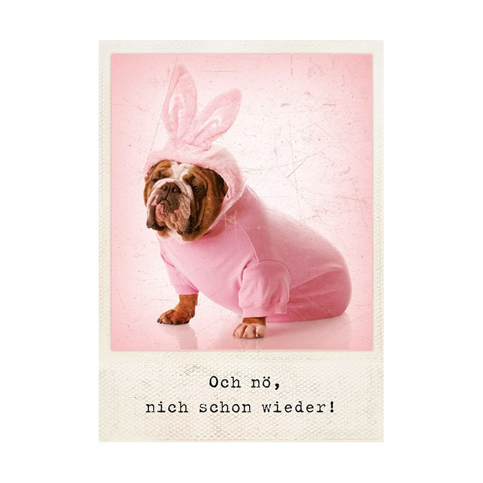 Postkarte Ostern Bulldogge  "Och nö. noich schon wieder"