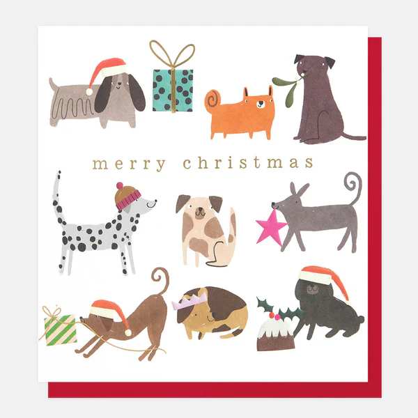 Caroline Gardner Weihnachtskarte "Festive Dogs" SGX0006, Hunde