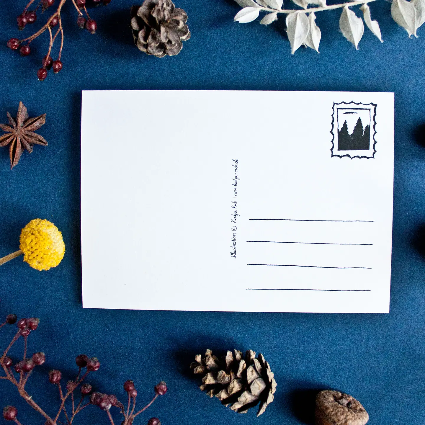 Postkarte  Zwei Katzen am Fenster, Winter von Katja Rub 