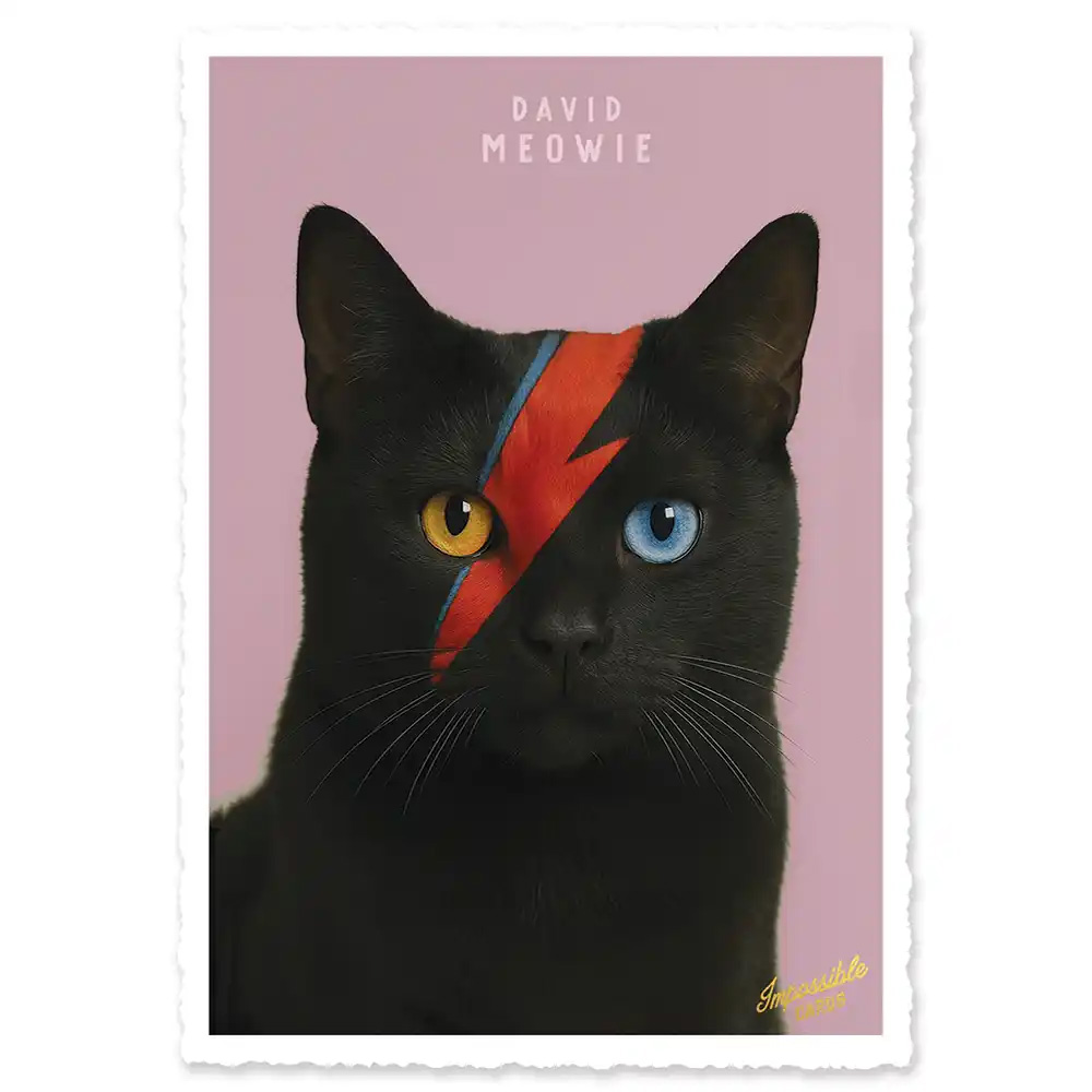 Impossible Card Postkarte David Meowie, Katze