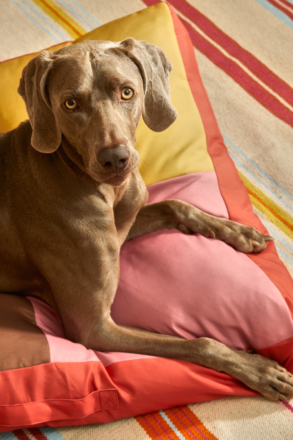 Rosa Buby Haustier-Bodenkissen klein, Hundekissen Orange-Gelb-Rosa,  ca. 60x40x12 cm
