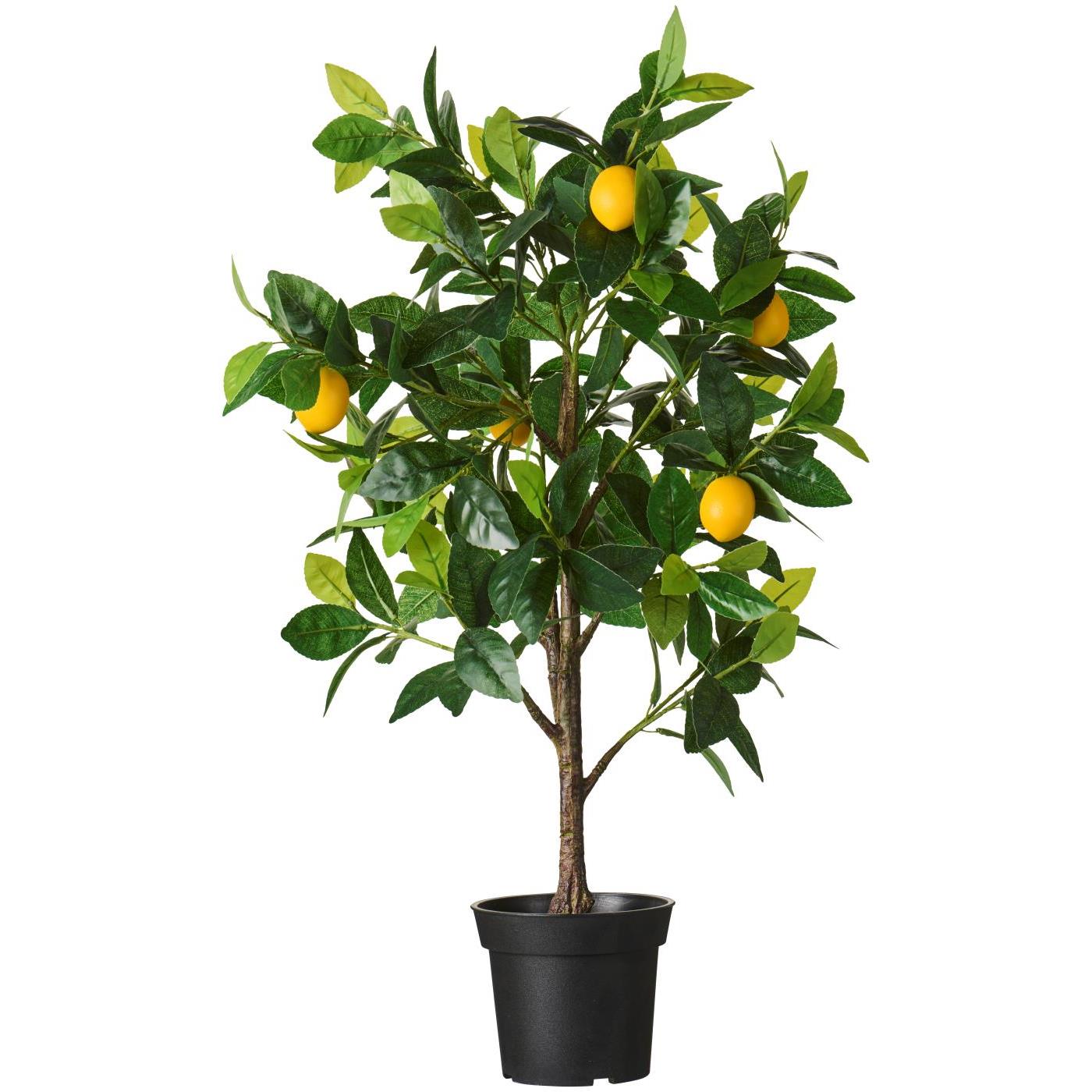Zitronenbaum in Topf, Höhe ca. 80 cm, D. ca. 34 cm zur Deko von IB Laursen