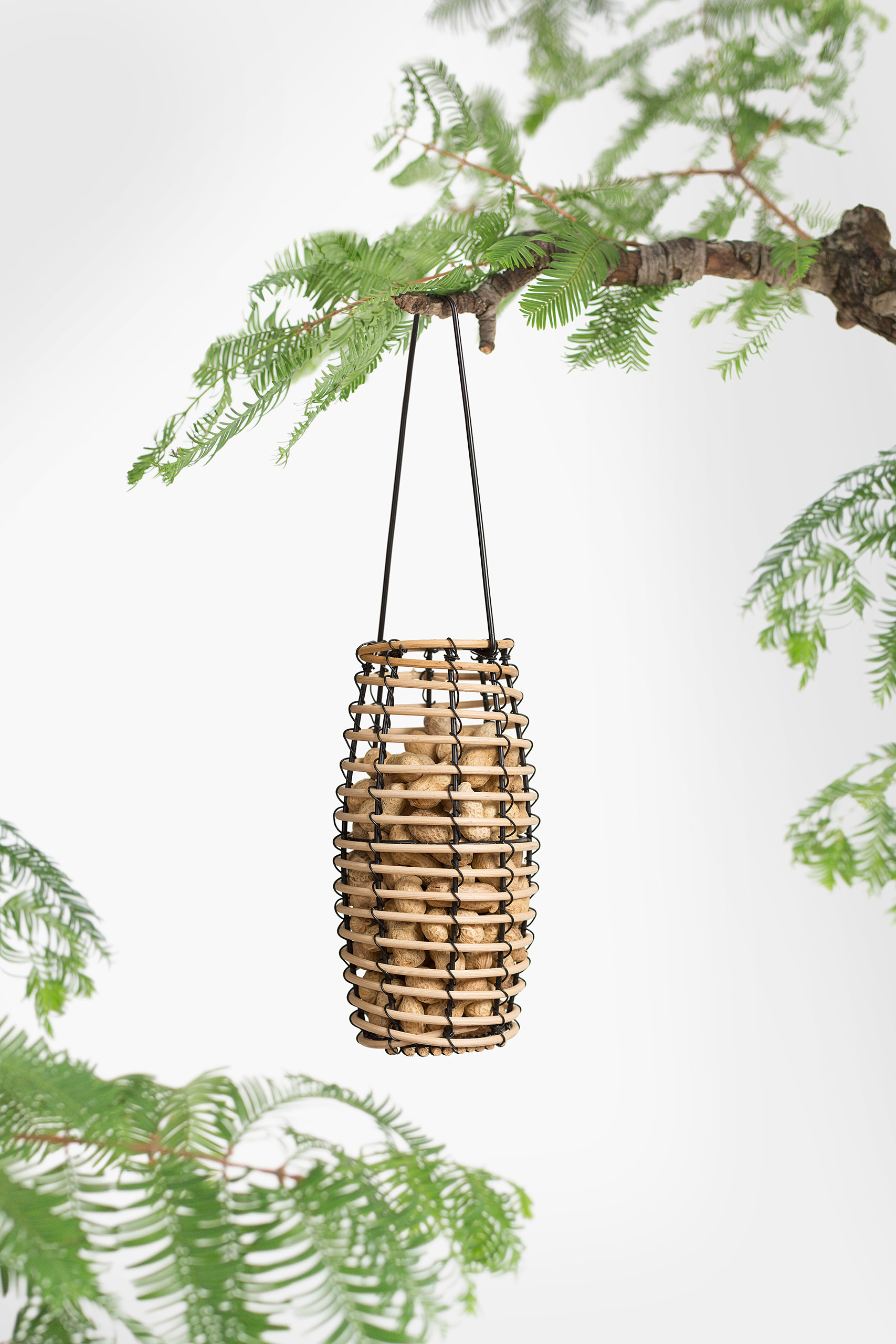 Bird Feeder " Hallo Faya"