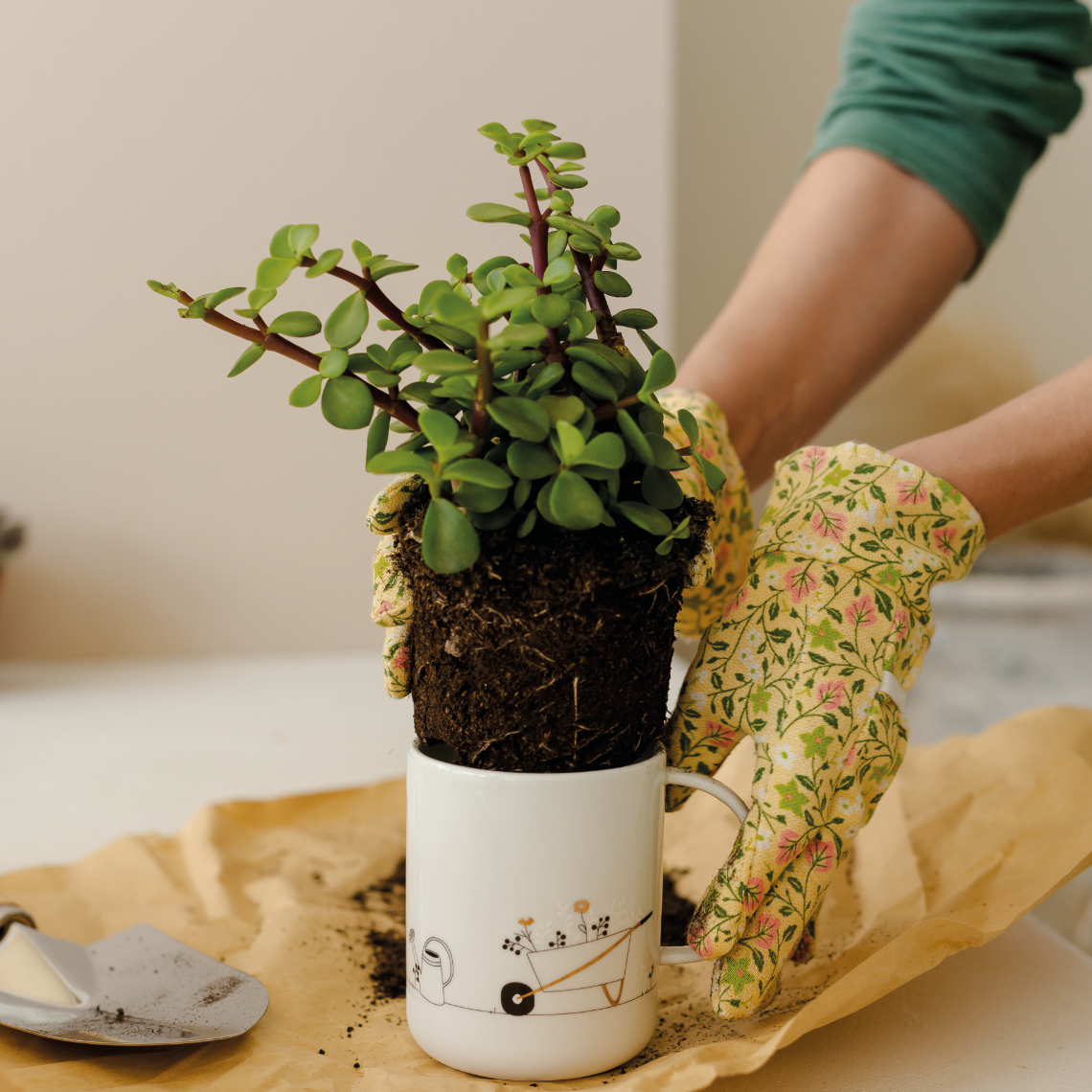 GESCHENKTASSE "Garten" von Räder 