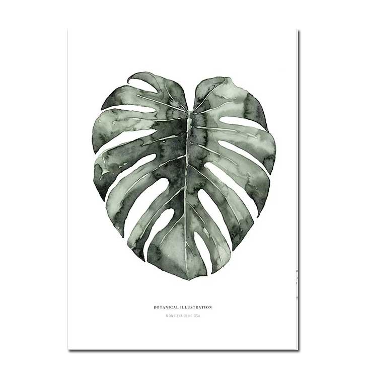 Leo la Douce Postkarte – Urban Monstera