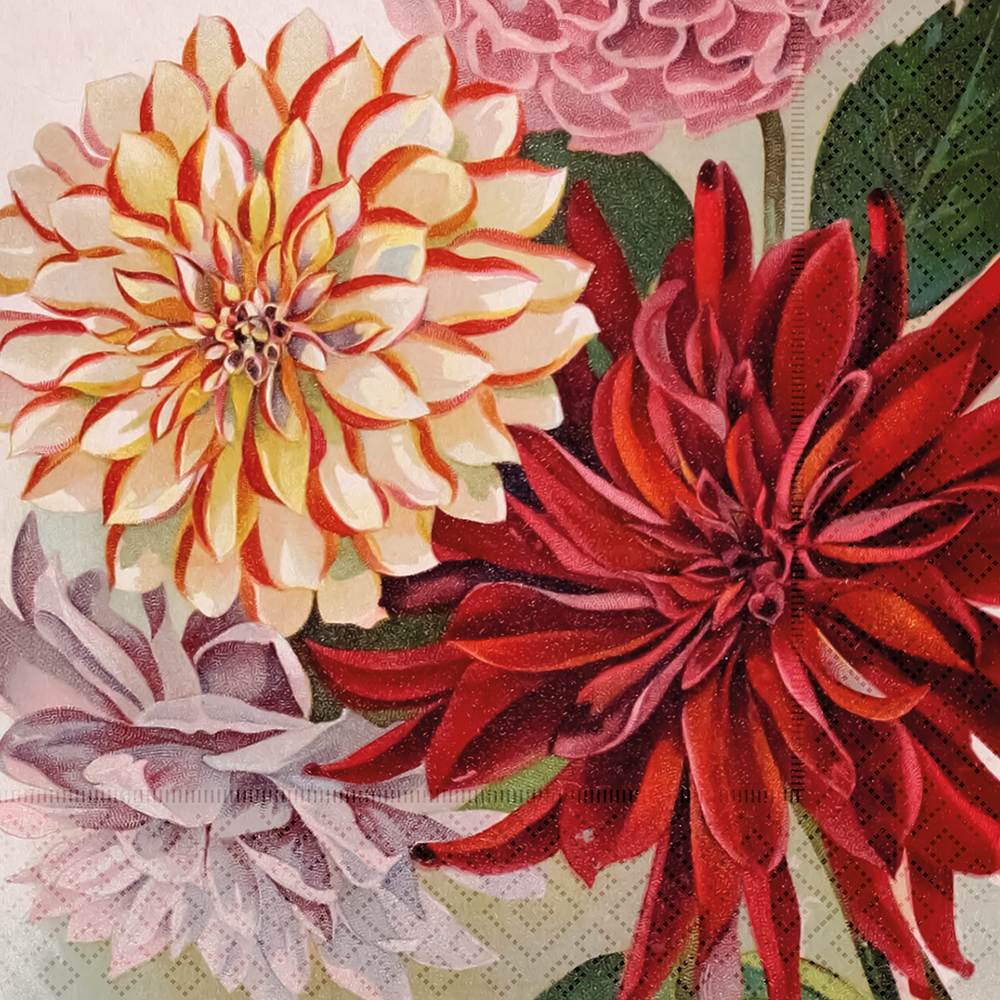 Sköna Ting Papierservietten "Dahlia" Dahlien,  ca. 33 x 33 cm, Lunchservietten  