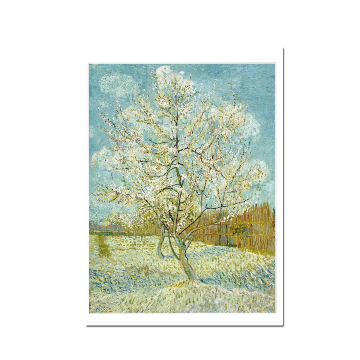 Postkarte Vincent van Gogh " Blühender Pfirsichbaum, 1888" Kunst