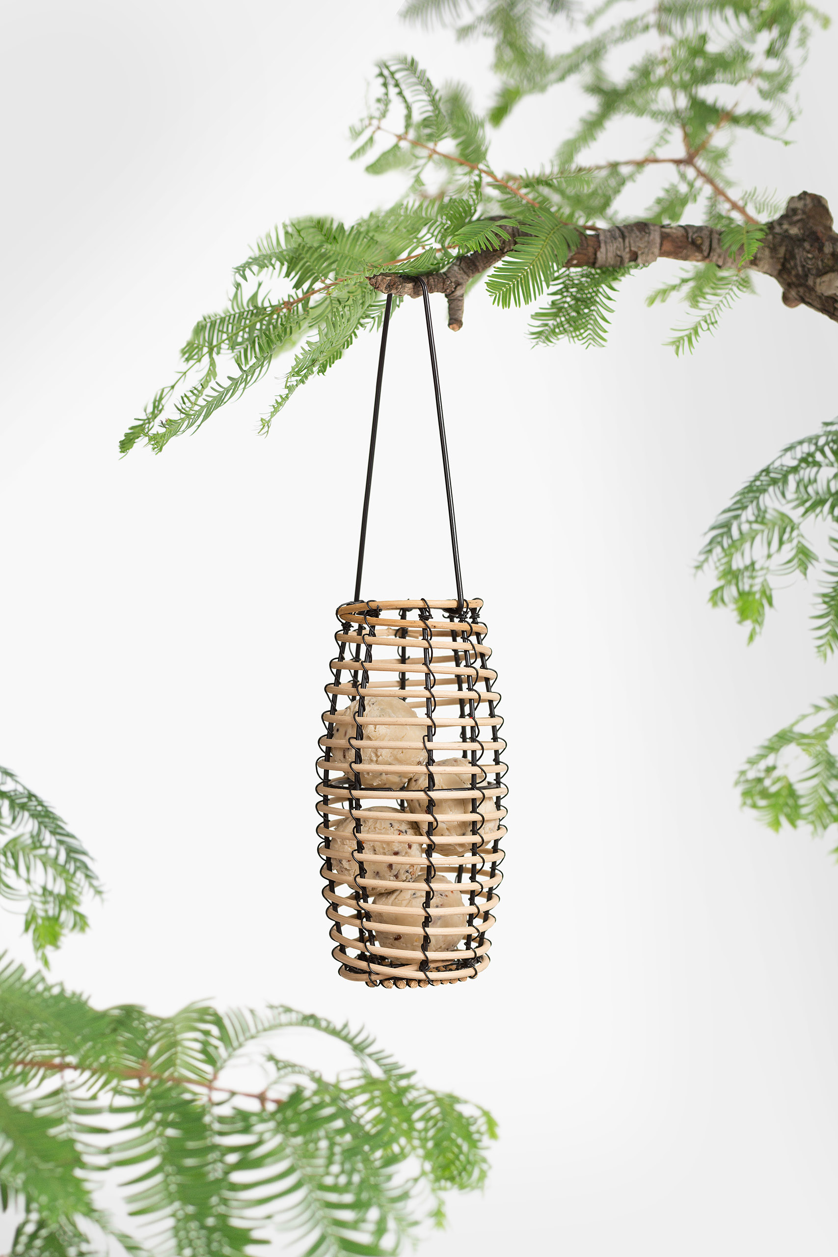 Bird Feeder " Hallo Faya"