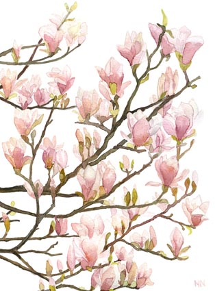 Pia Malmros Surpris Karte mit Umschlag  Magnolie