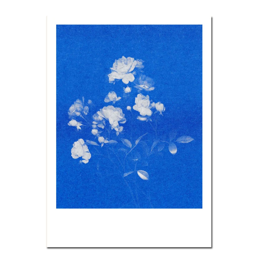 Herr und Frau Rio Postkarte Rose N°1  blau, Risographie Postkarte