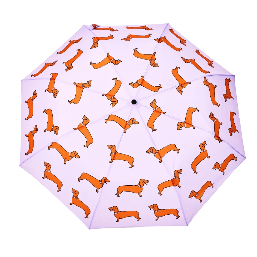 Regenschirm Original Duckhead Coucou Suzette - Hundeschirm Dackel Compact Duck Umbrella