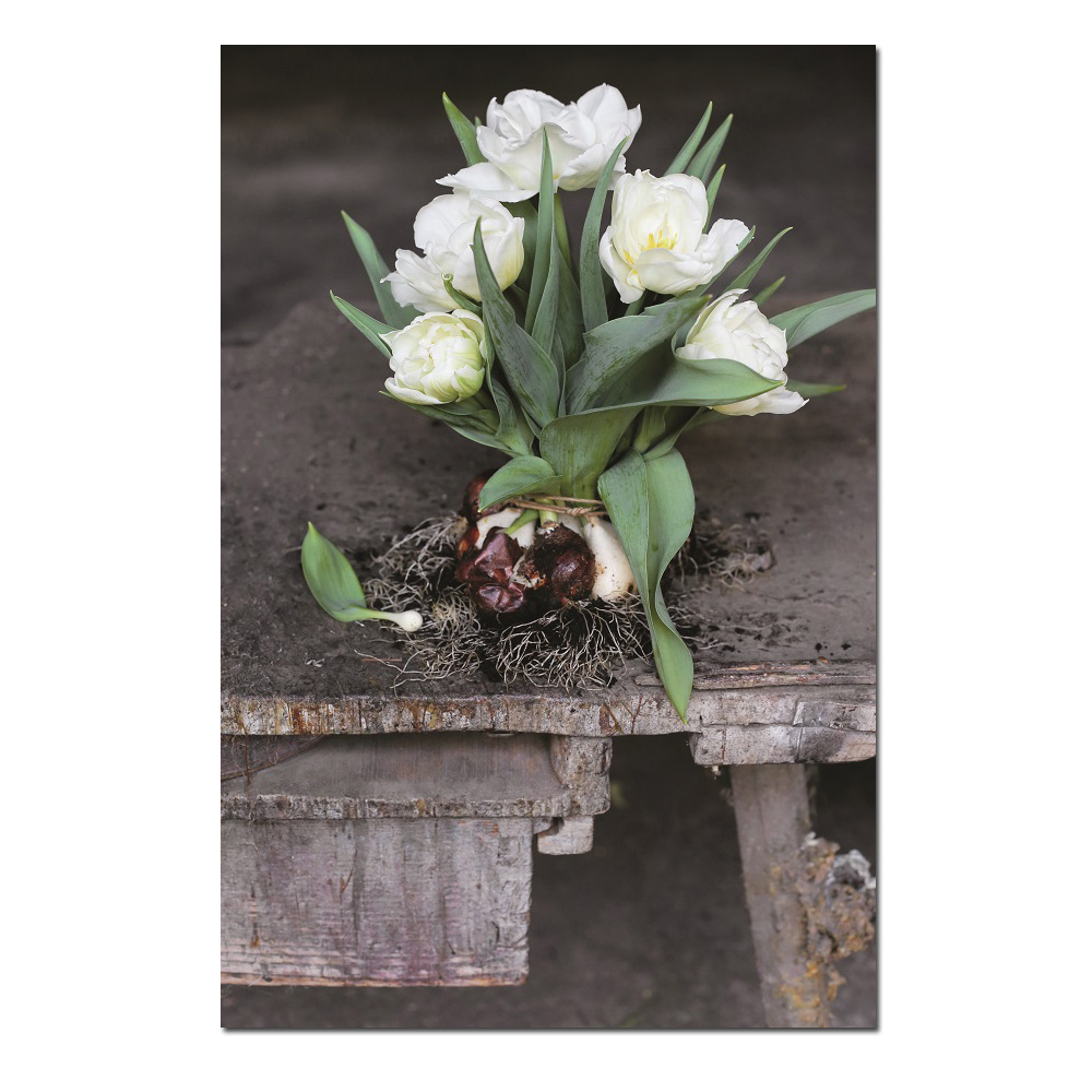 Das Blumenmädchen Postkarte "Tulpen" Frühling 