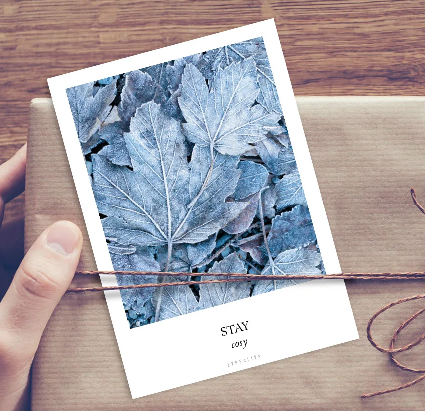 Typealive XMAS Postkarte "Frozen Plants No. 2"   Stay Cosy