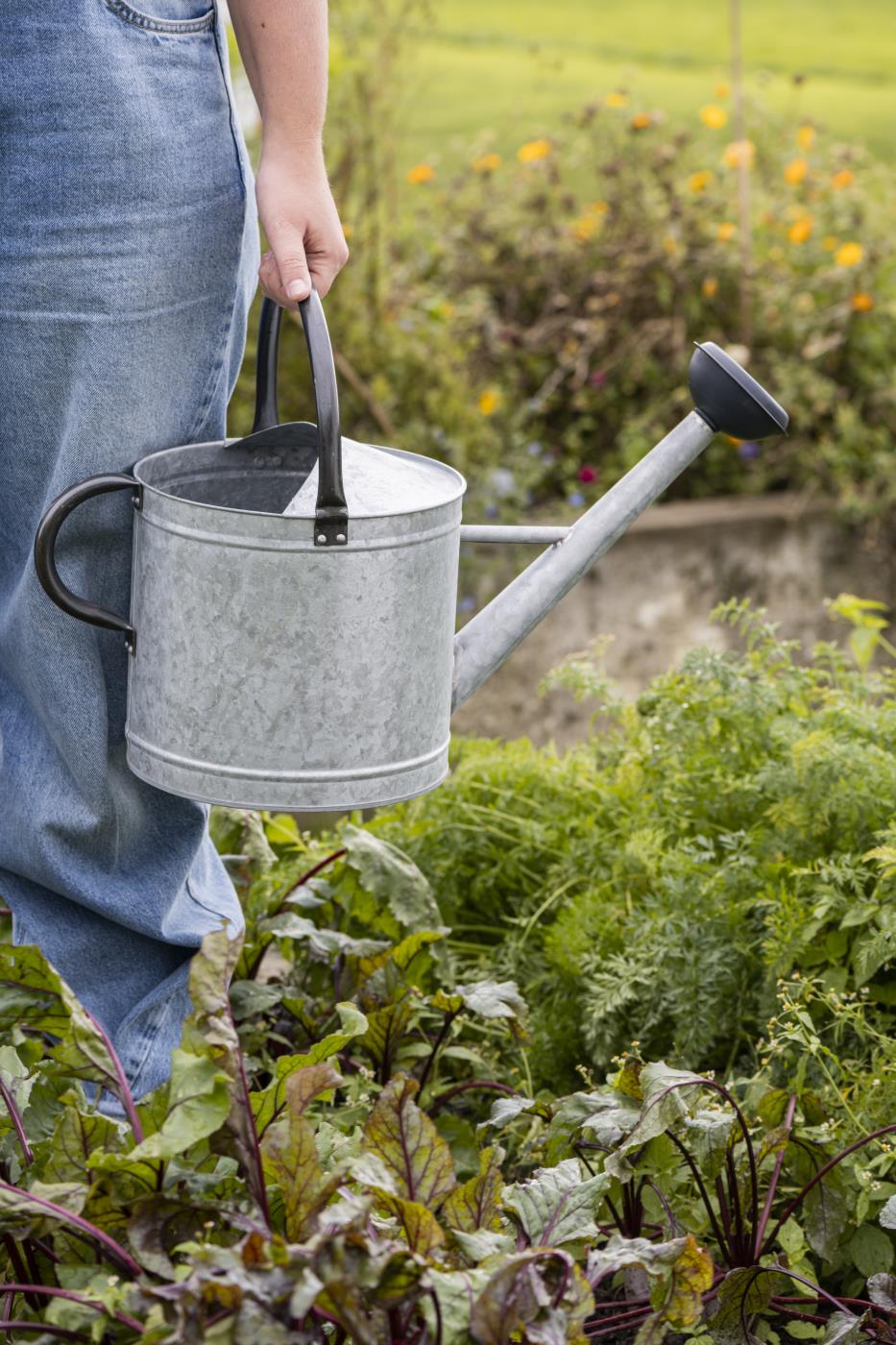 Gießkanne zink, 9 Liter, Brause und Henkeln  in schwarz 