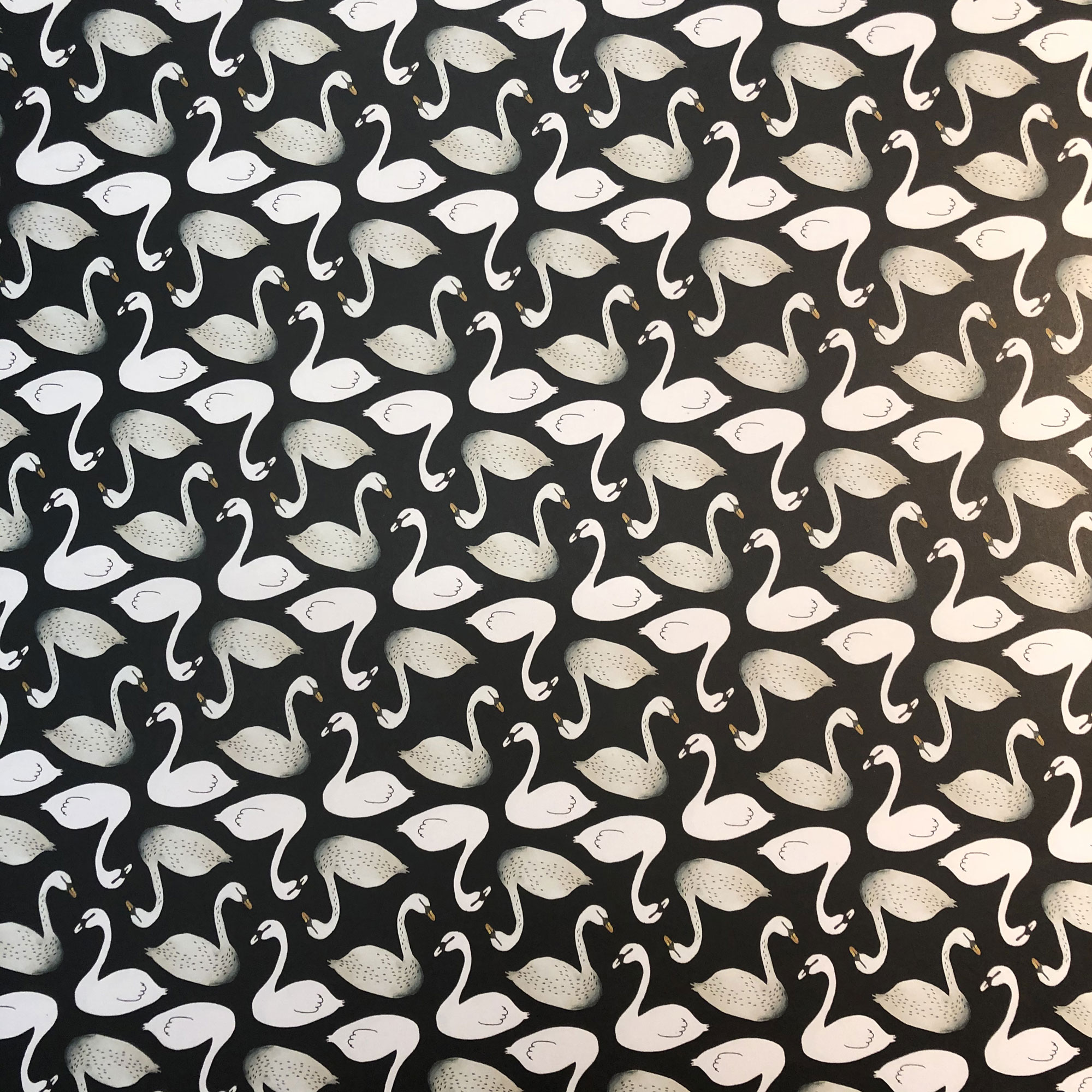 Geschenkpapier - Weiße Schwäne auf Schwarz, Schwan, ca. 59 x 43 cm von NUUKK
