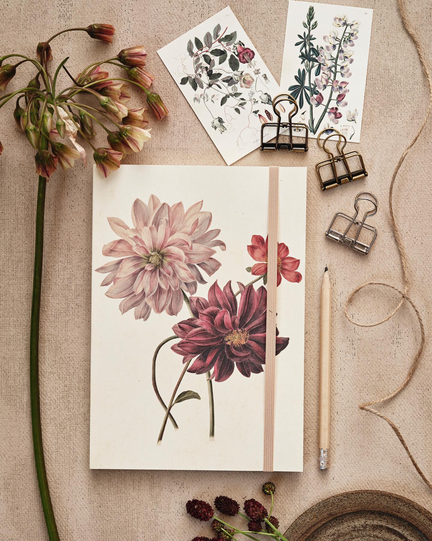 Sköna Ting Notizbuch A5 "Autumn Plants, Gerbera" 96 Blatt, mit Gummiband aus Schweden, Herbstblumen