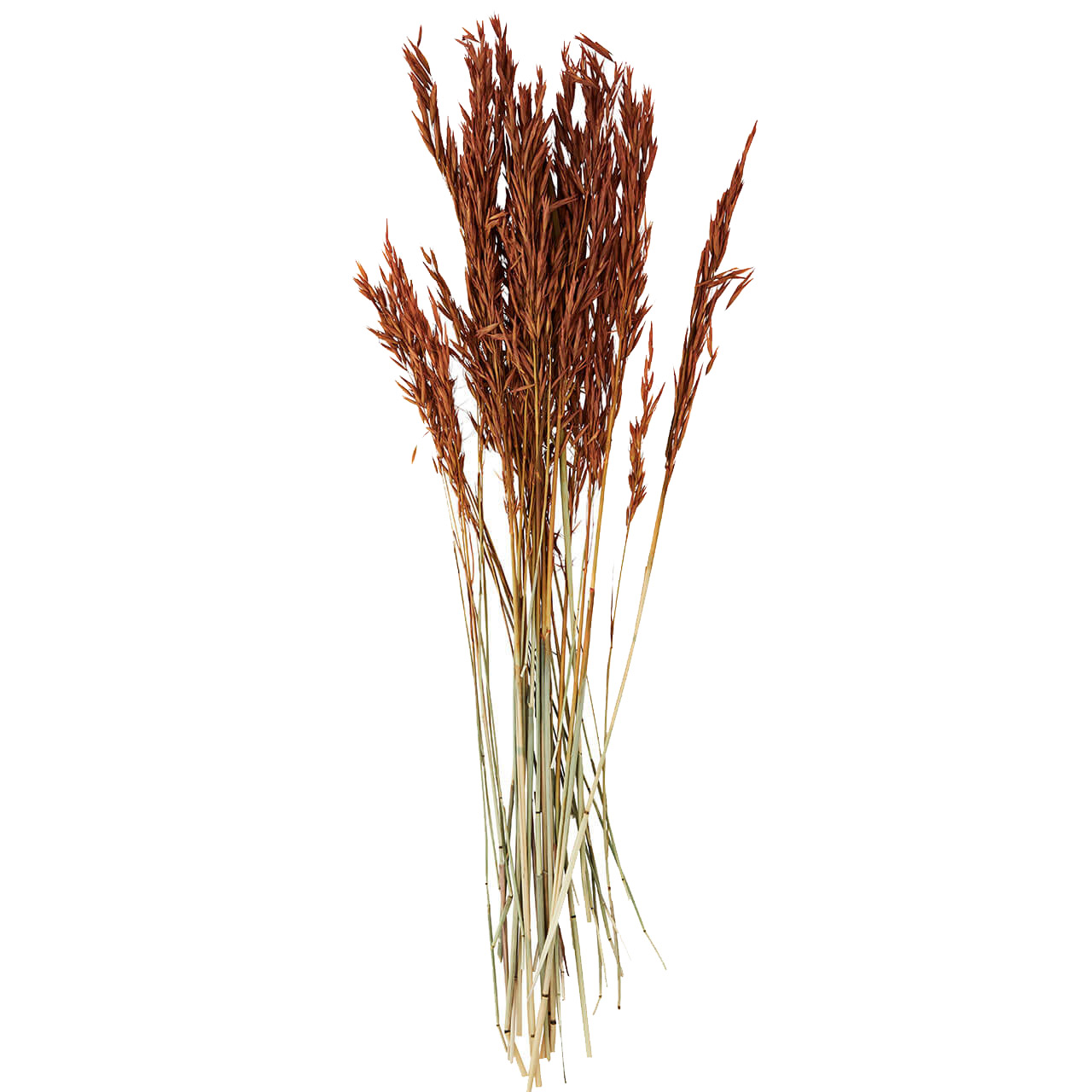 Madam Stoltz Weichweizen terracotta, Boho Style Madam Stoltz Weichweizen terracotta, Boho Style