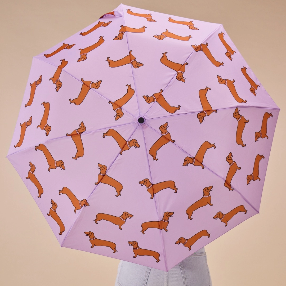 Regenschirm Original Duckhead Coucou Suzette - Hundeschirm Dackel Compact Duck Umbrella