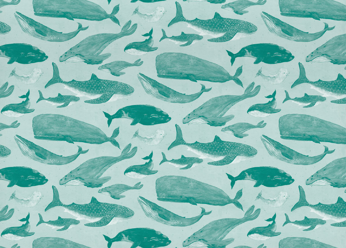 Roger la Borde Geschenkpapier "Whale Song  " von Katherine Quinn,  ca.  50 x 70 cm, wendbar, Walfisch