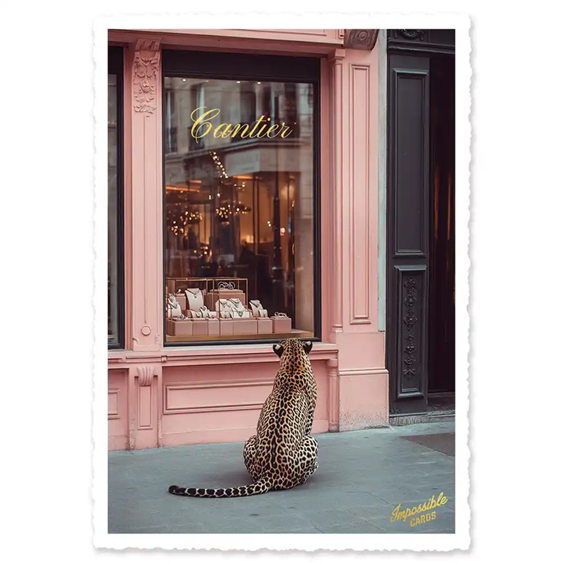 Impossible Card Postkarte *Cantier Leopard
