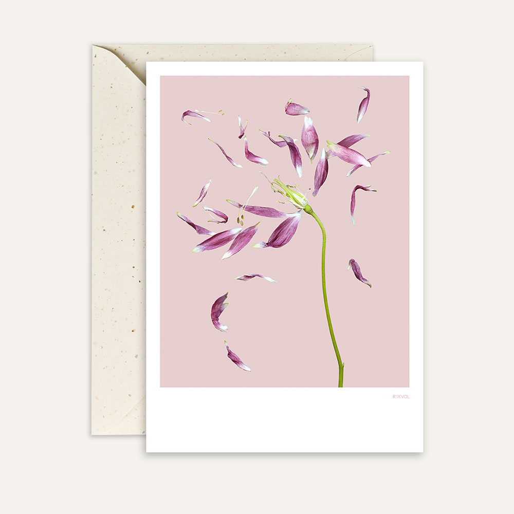 Aufstellkarte PetalLove 03 - Pink, Florale Grußkarte mit Umschlag von Studio Rijkvol      