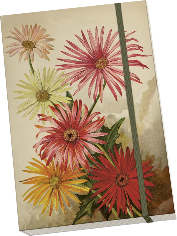 Sköna Ting Notizbuch A5 "Autumn Plants, Gerbera" 96 Blatt, mit Gummiband aus Schweden, Herbstblumen
