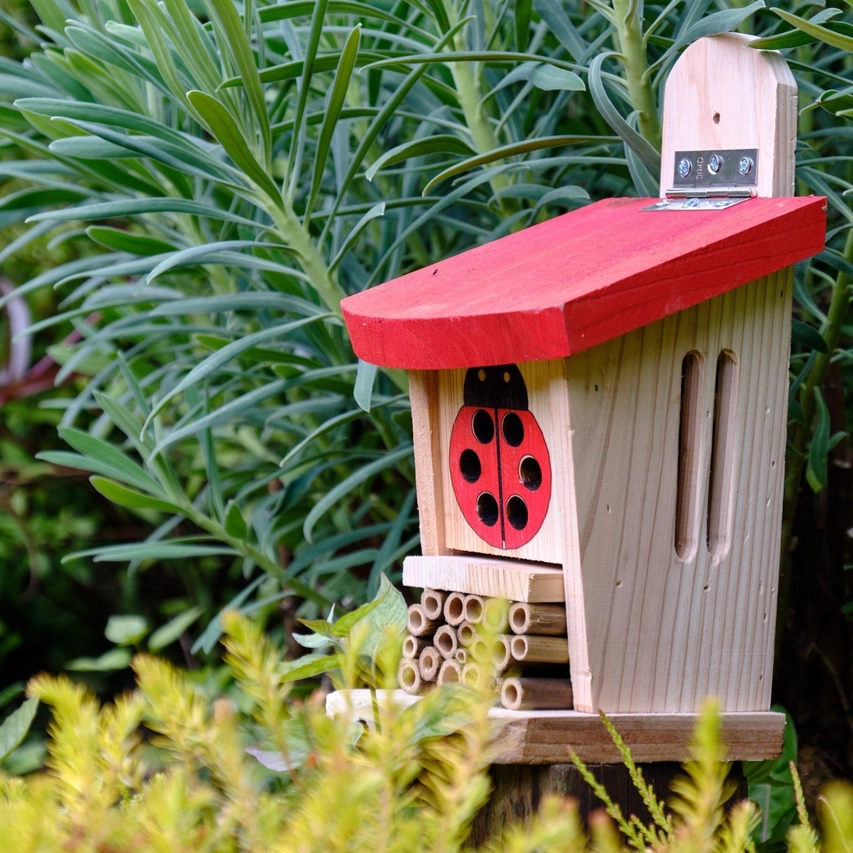 Marienkäfer- und Insektenhaus