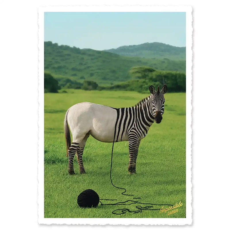 Impossible Card Postkarte *Zebra