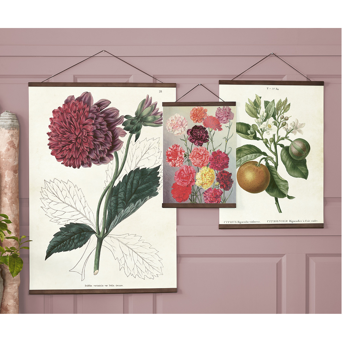 Posterleiste mit Lederschnur, Breite 50 cm von Sköna Ting  