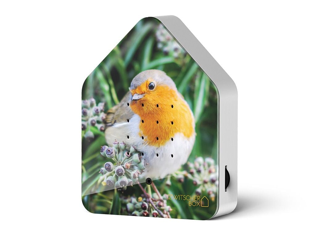 Zwitscherbox Robin Redbreast/ Rotkehlchen von Zwitscherbox  , limitierte Auflage