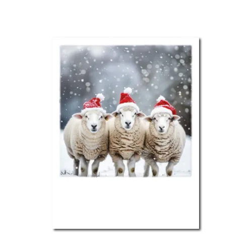 Polacard XMAS Weihnachtsschafe