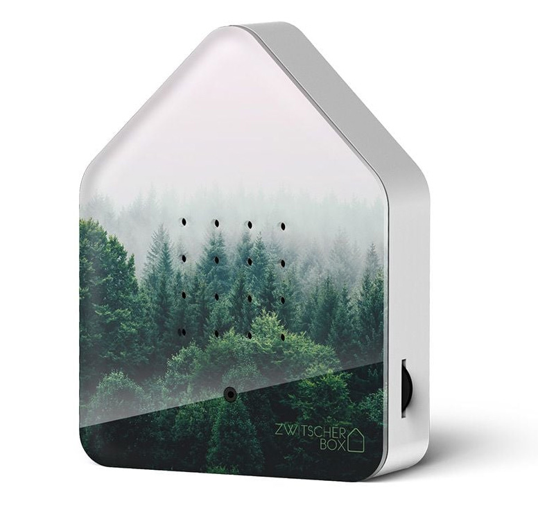 Zwitscherbox Morning Forest von Zwitscherbox  , limitierte Auflage