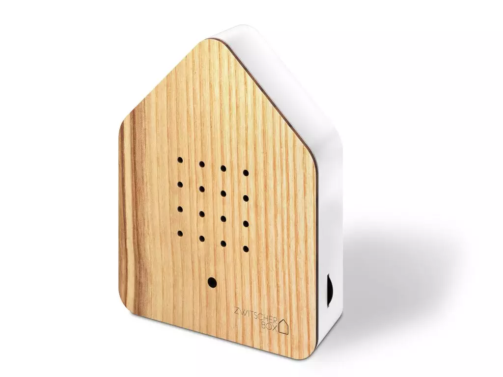 Zwitscherbox Holz, Esche / Ash  von Zwitscherbox  