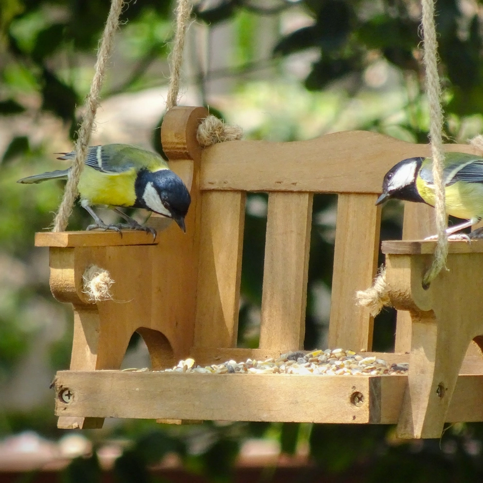 % Vogelfutterschaukel aus England