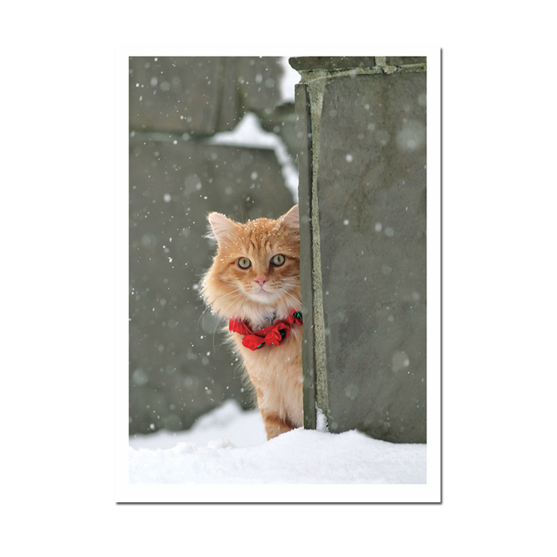 Doppelkarte - Christmas von Palm Press, Roter Kater, Katze