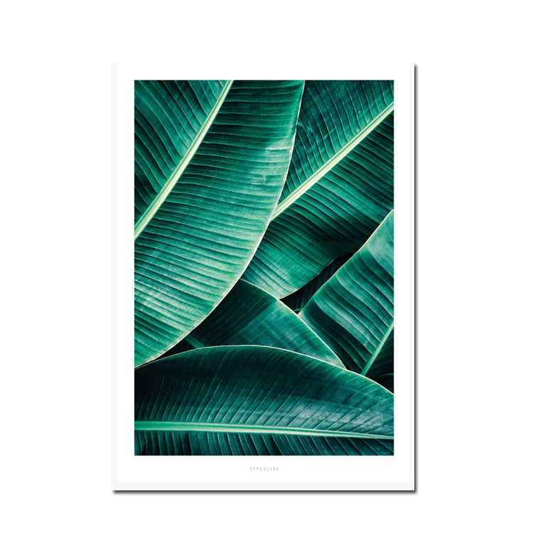 Typealive Postkarte  Dschungel "Junglelow No. 7" 