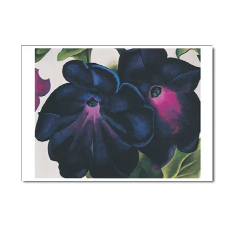 Postkarte Georgia O`Keeffe " Black and Purple Petunias/Schwarze u.violette Petunien, 1925" Kunst