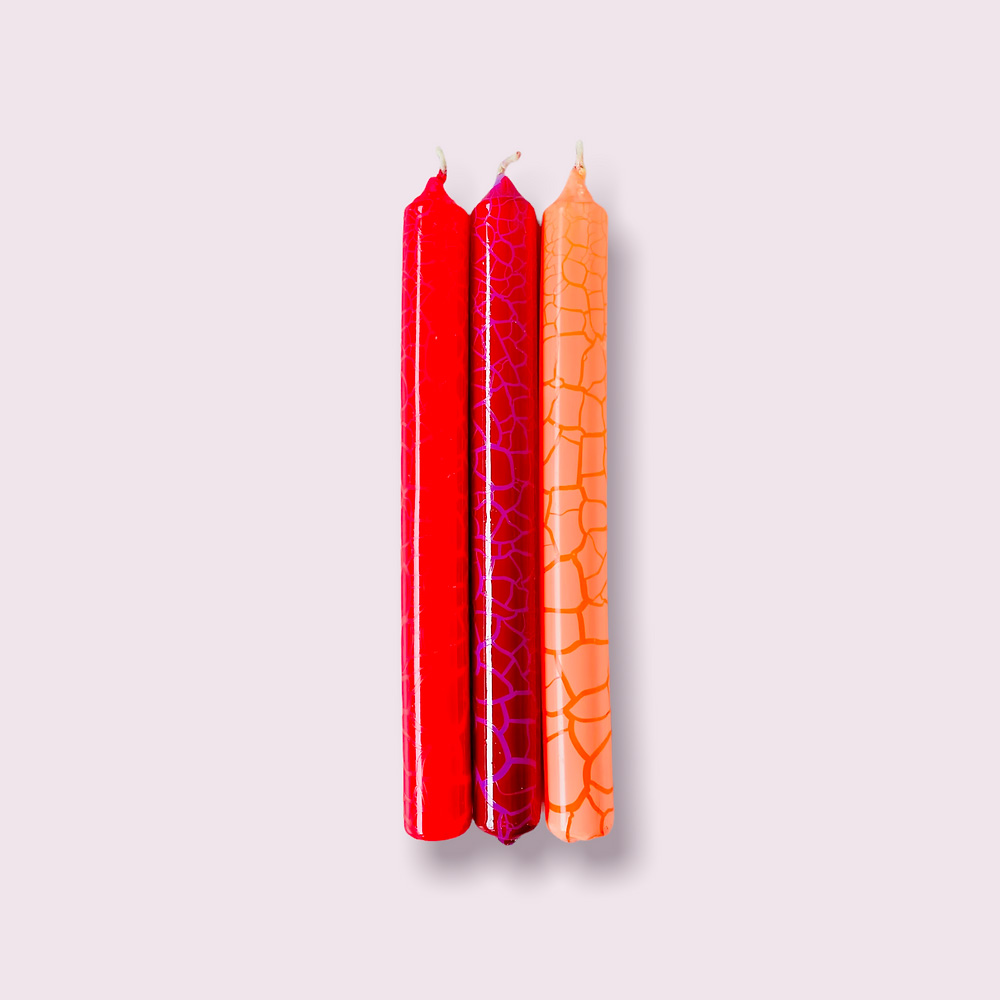Wild Candles * Chameleon 3er Set   von Pink Stories