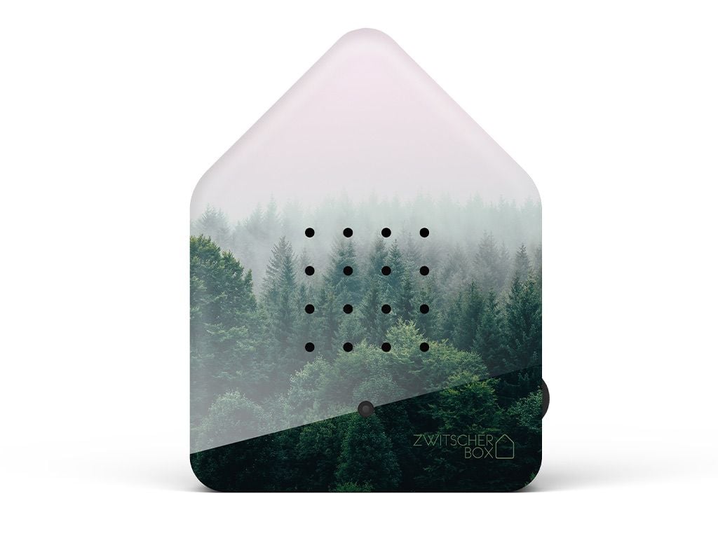 Zwitscherbox Morning Forest von Zwitscherbox  , limitierte Auflage