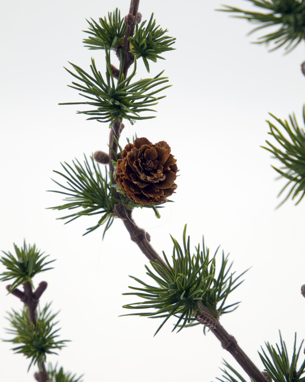 % House doctor XMAS Weihnachtsbaum STAY, Grün  von House doctor, ca. 40 cm 